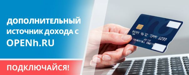 Дополнительный источник дохода. 