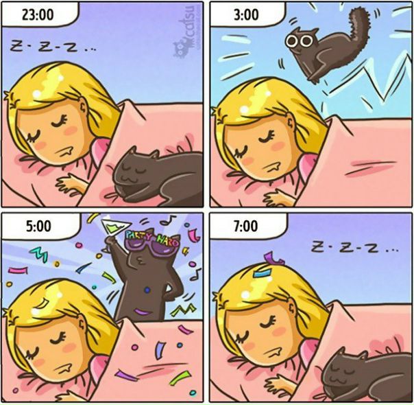 Пока ты спал
