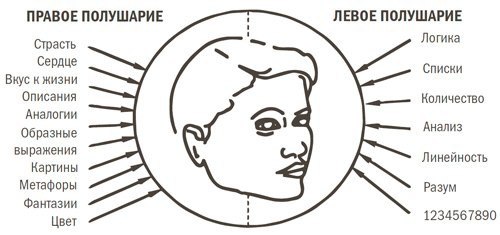 Секрет успеха: логика или эмоции Подключаем правое полушарие