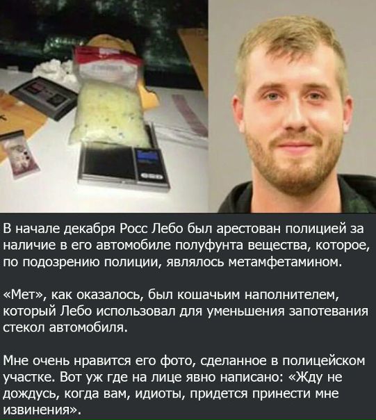 Предвкушение
