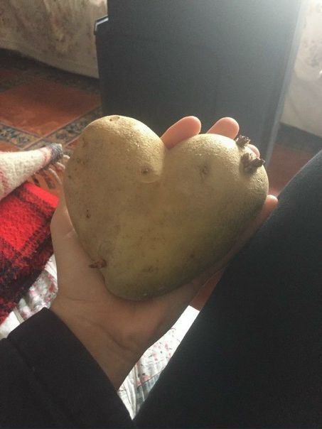 Сердце белоруса