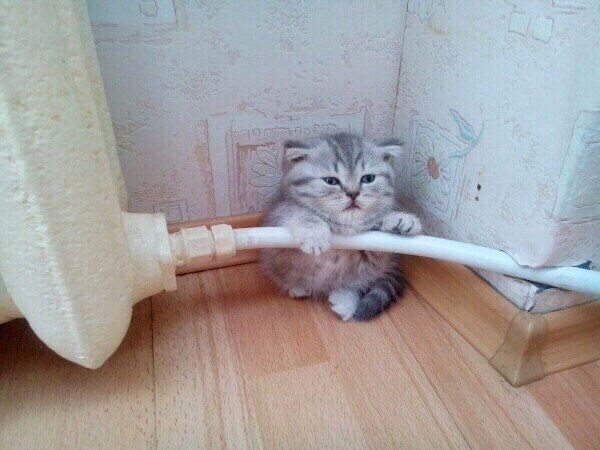 Это я жду возвращения теплых деньков